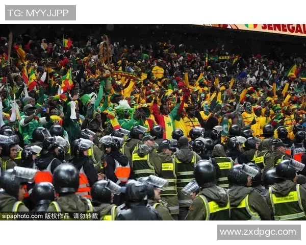 足球节目热潮来袭球迷狂欢尽享赛事精彩与背后故事